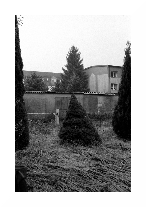 neuenkirchen2