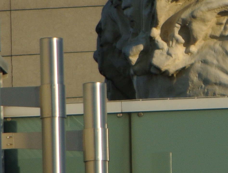 neues 55-300 an V1 @300mm