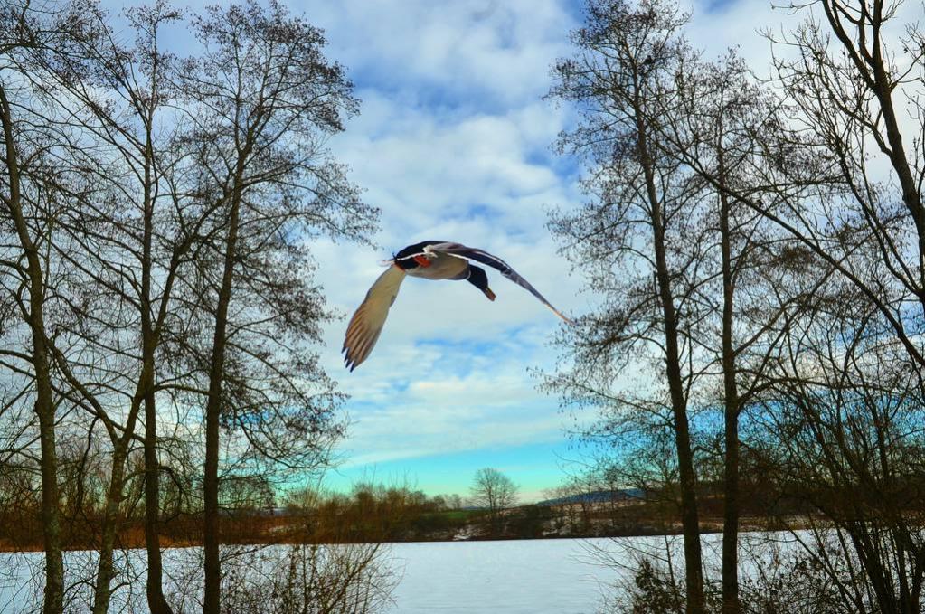 neulich am Sterenbachsee