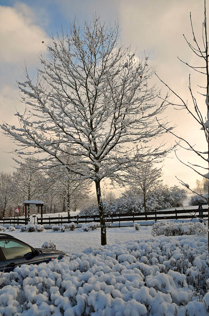 Neuschnee im Westerwald (MHX 7022AKUSMx)