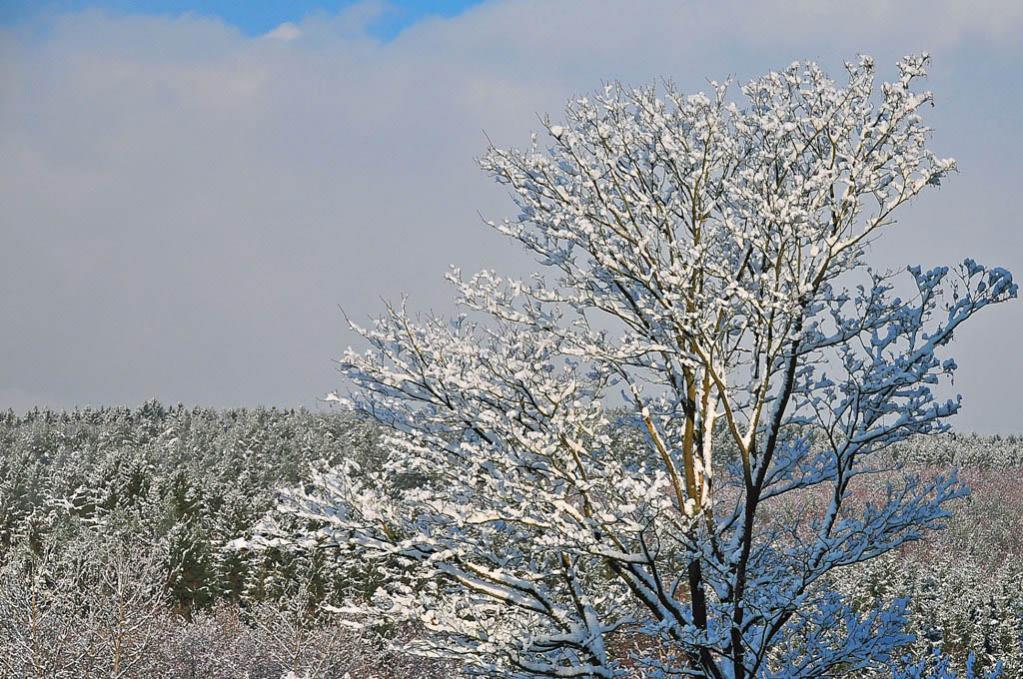 Neuschnee im Westerwald MHX 7041ASUSMx