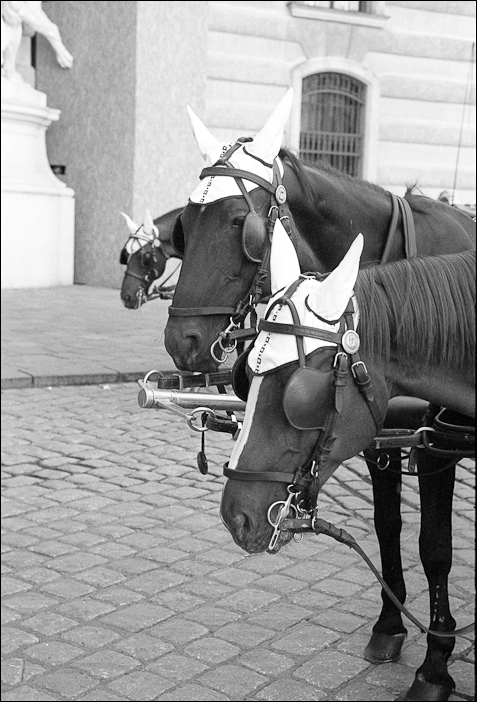 New Vienna Scan 110818 0051
