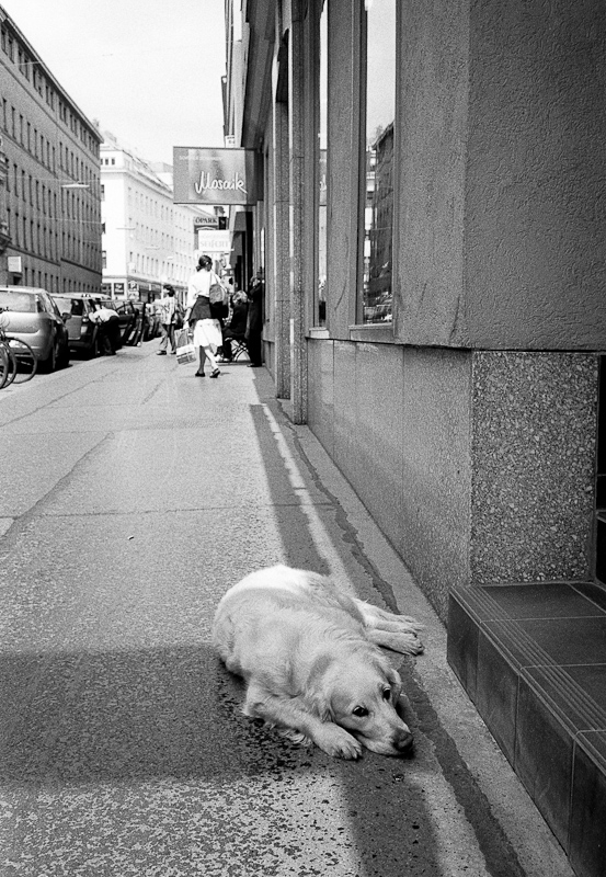 New Wien 20110514 029