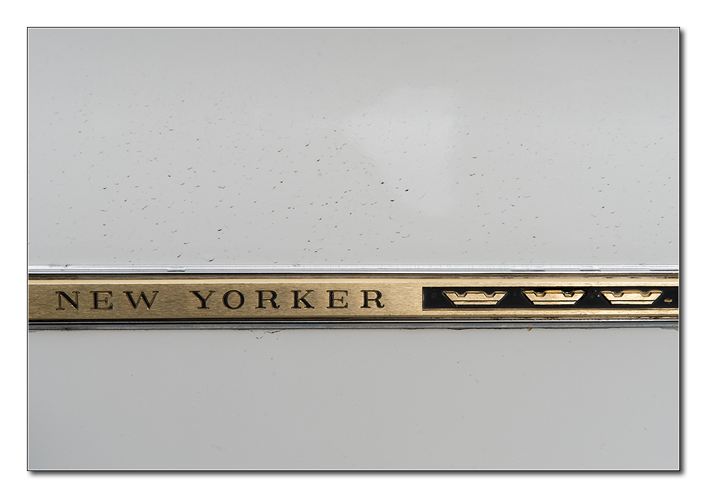 new yorker5