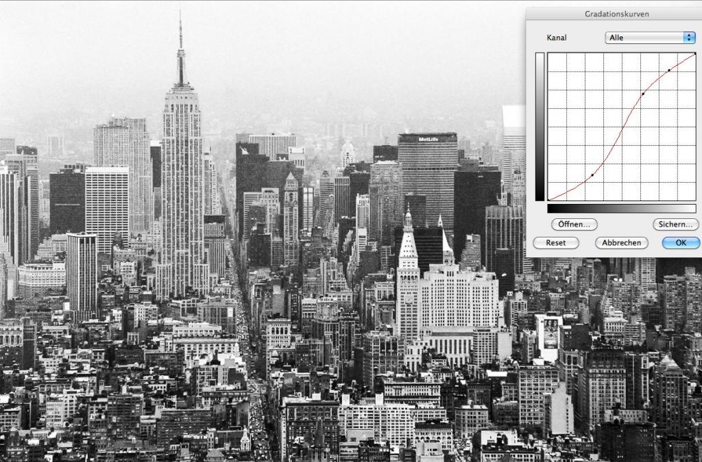 NewYork NEU