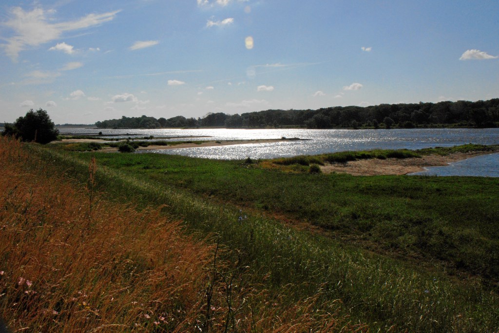 NF B 2008 06 11 08 43 16