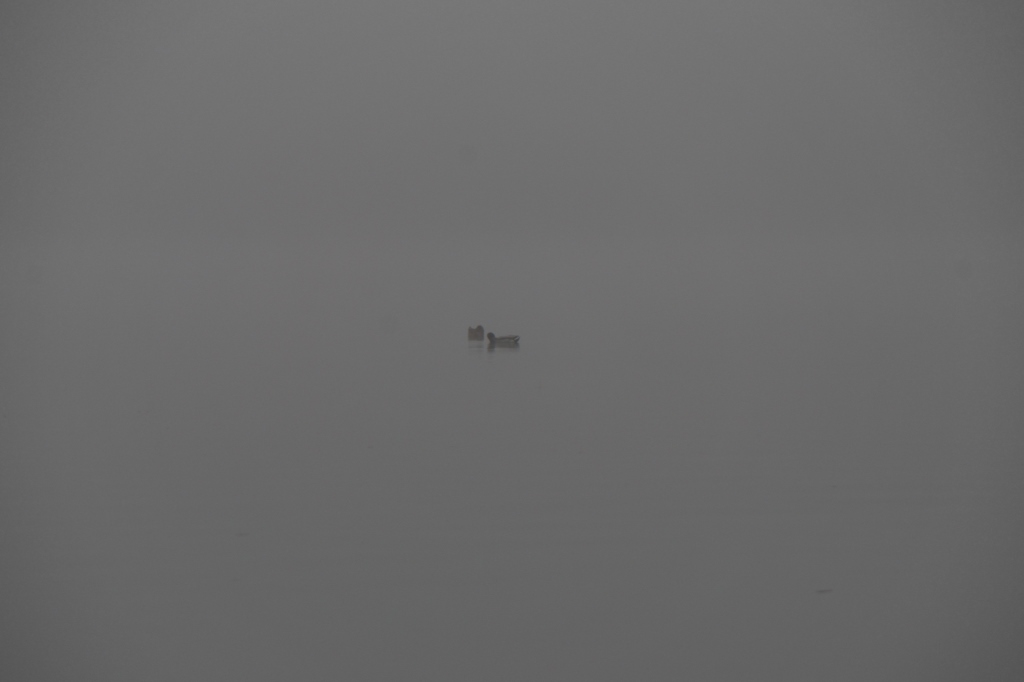 NF B 2008 11 02 10 26 40