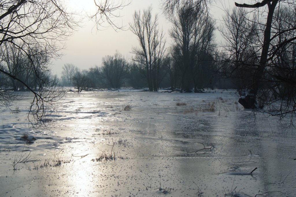 NF B 2010 01 24 09 46 5 V1