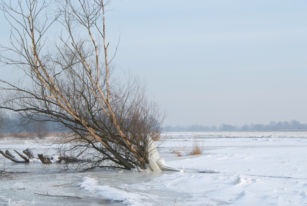 NF B 2010 01 24 10 18 35