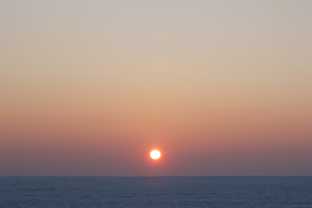 NF B 2010 01 26 16 22 15