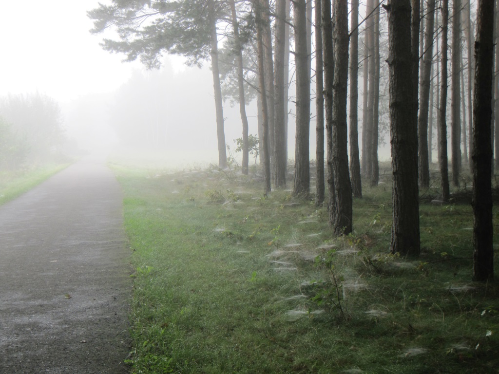 NF B 2010 09 05 09 24 07