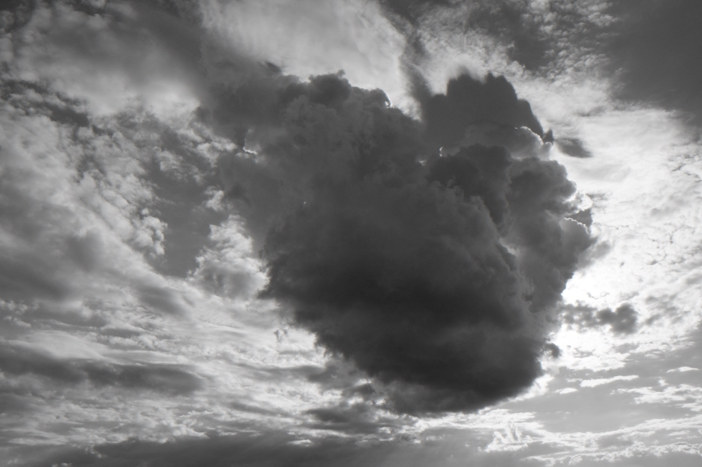 NF B 2010 09 05 17 31 58 sw