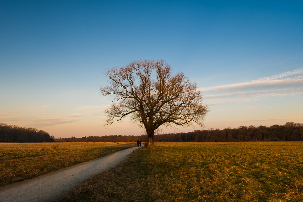 NF Bilder Feb 1
