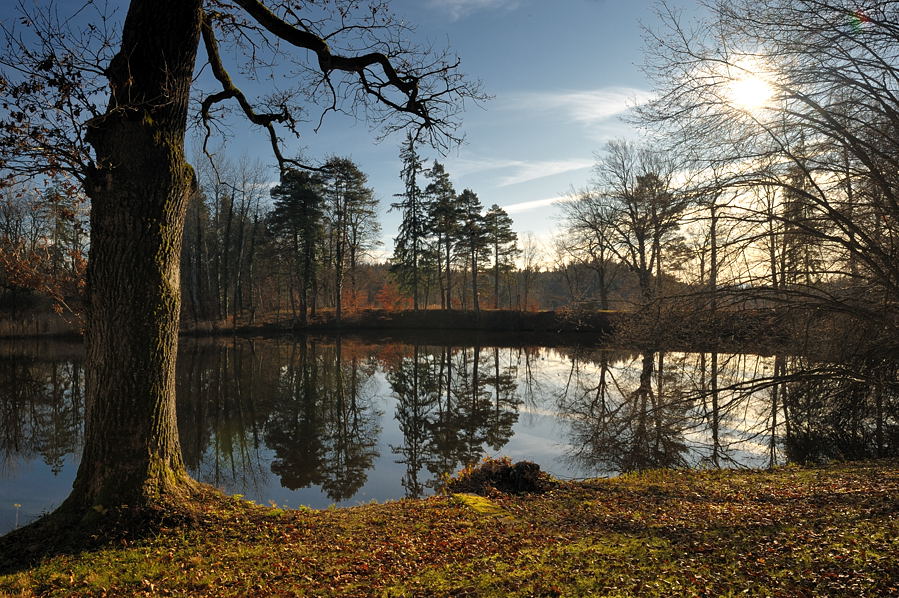 NF F 005 20091203 133336 Deixfurter See