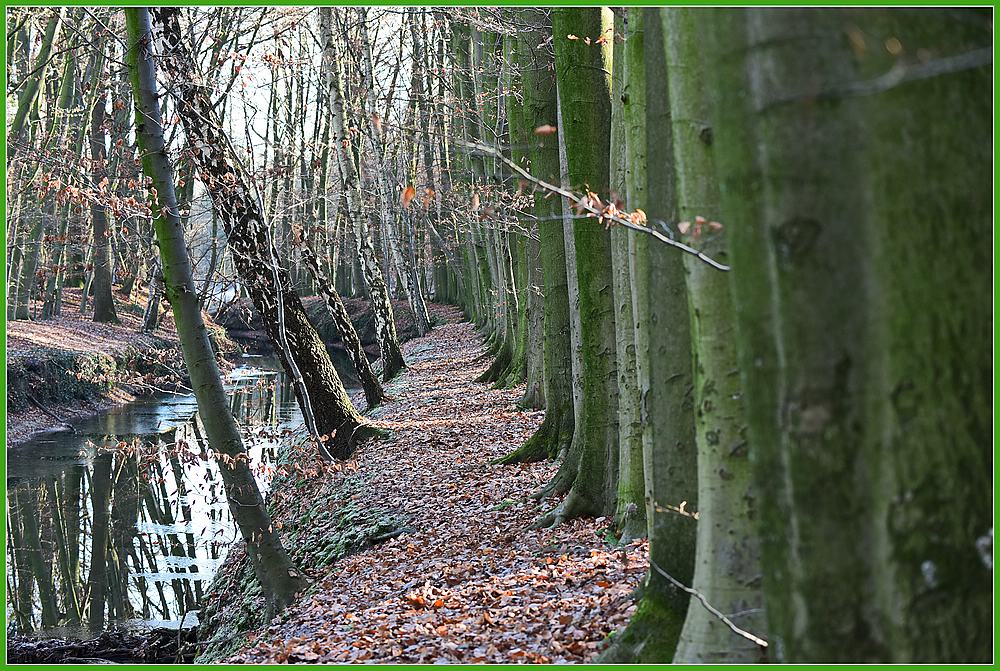 NF F 04 Wolbeck Tiergarten
[IMG]http://www.nikon-fotografie.de/vbulletin/picture.php?albumid=31190&amp;pictureid=519907[/IMG]