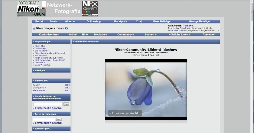 NF F Portal