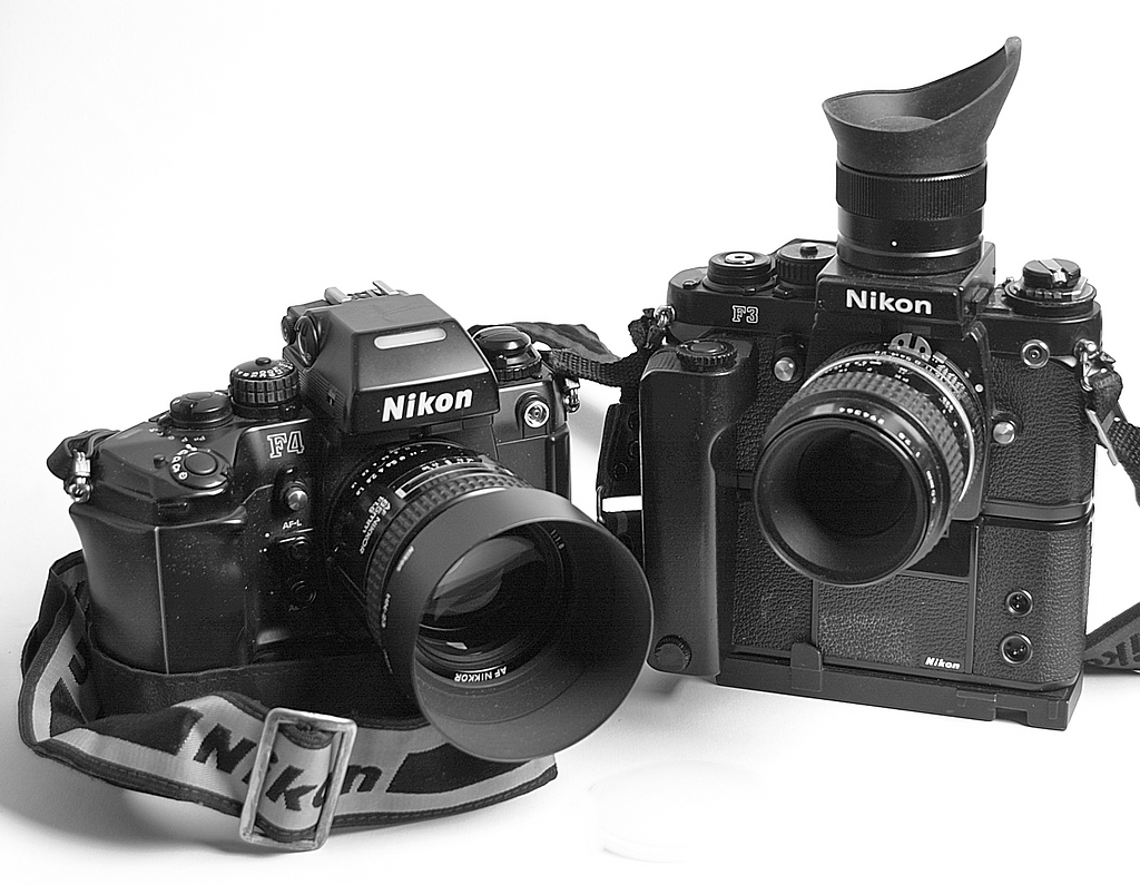 NF FDSC 0417
