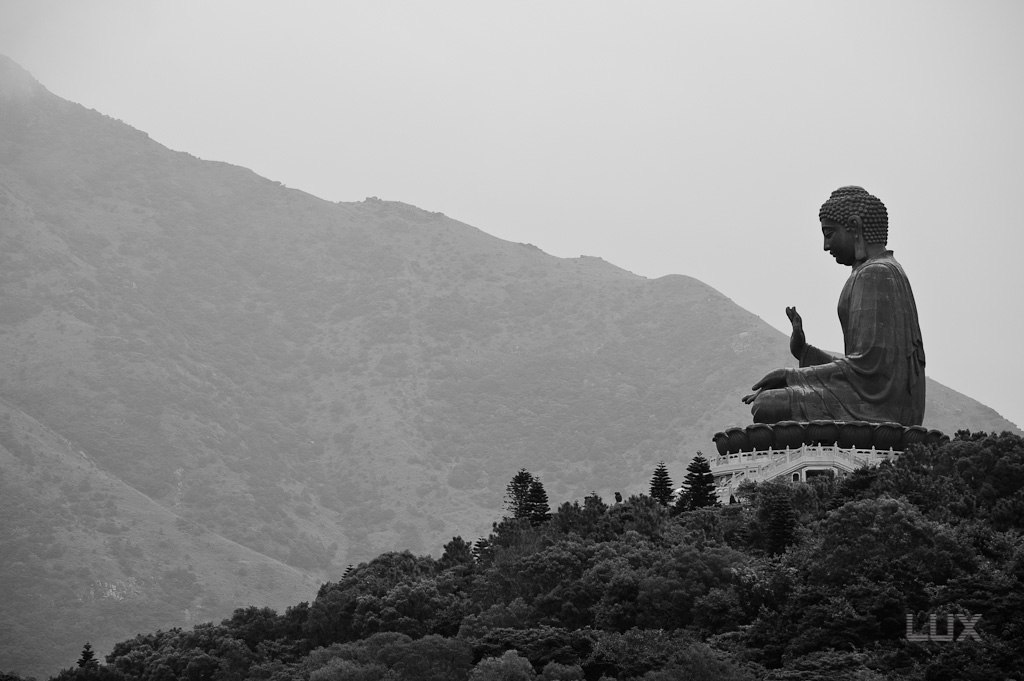 NF Forum 35