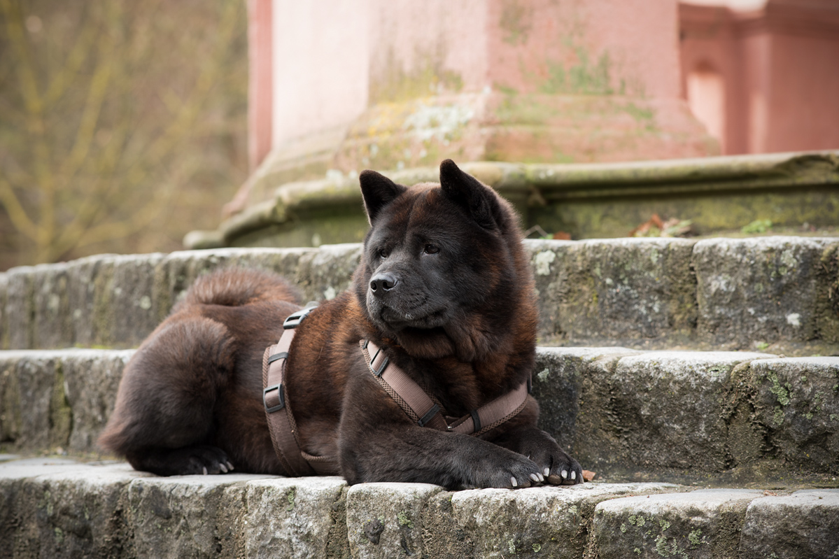 NF_DSC_1755.jpg