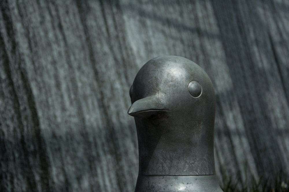 nf_USA2016_59.jpg