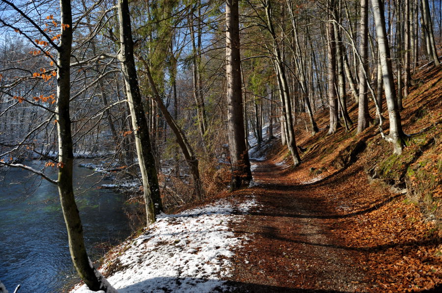 NFF 20081214 124246Winter Muehltal