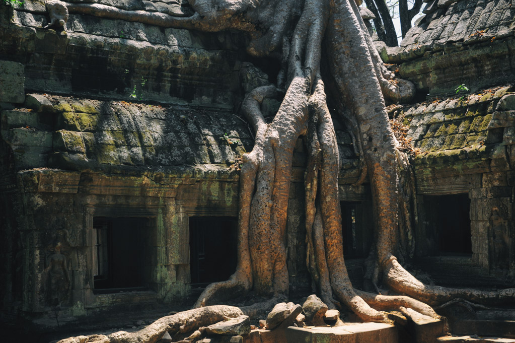 NFF angkor 30
