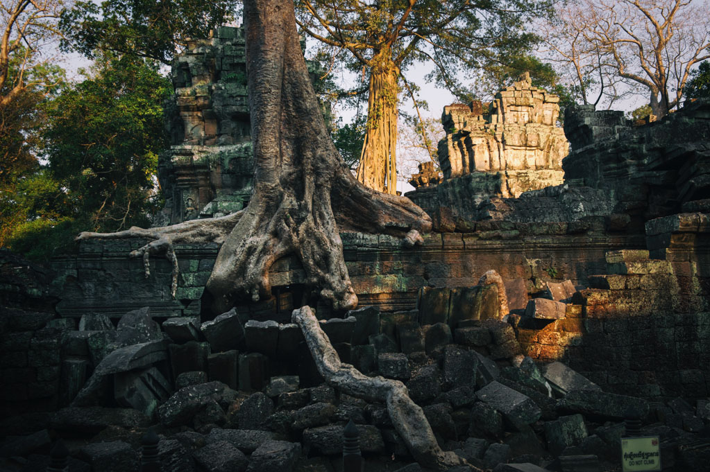 NFF angkor 41