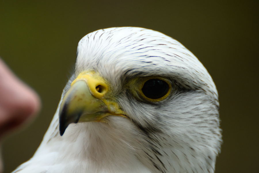 NFF Ausflug 034