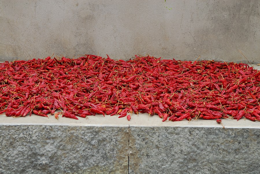 nff chillies