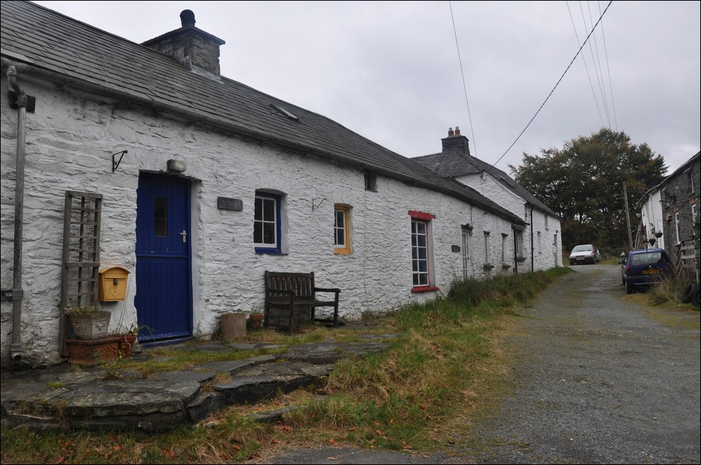 NFF Cymru 31