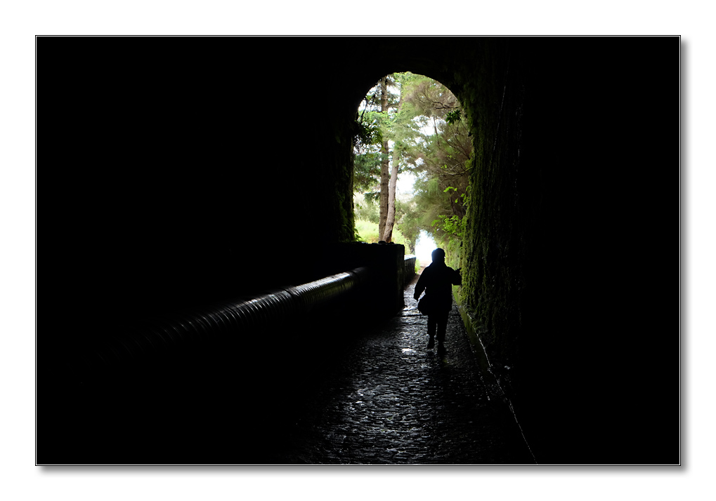 nff Levada1
