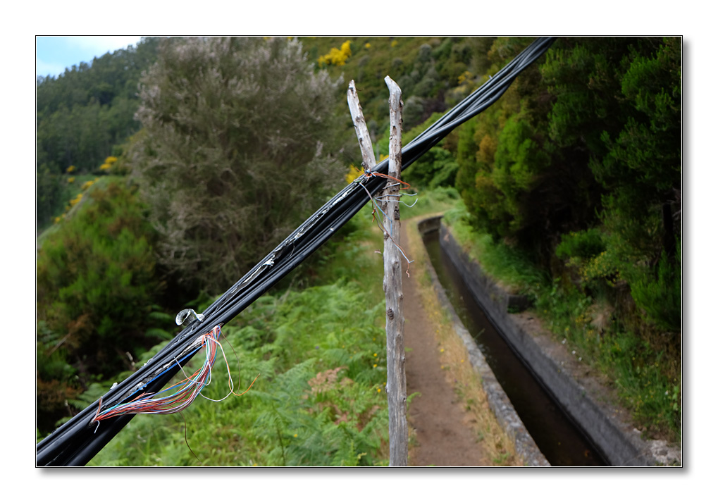 nff Levada2