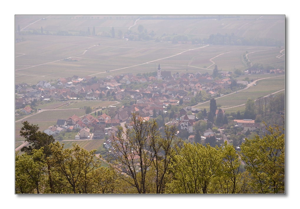 NFF Pfalz2014 Dorfblick