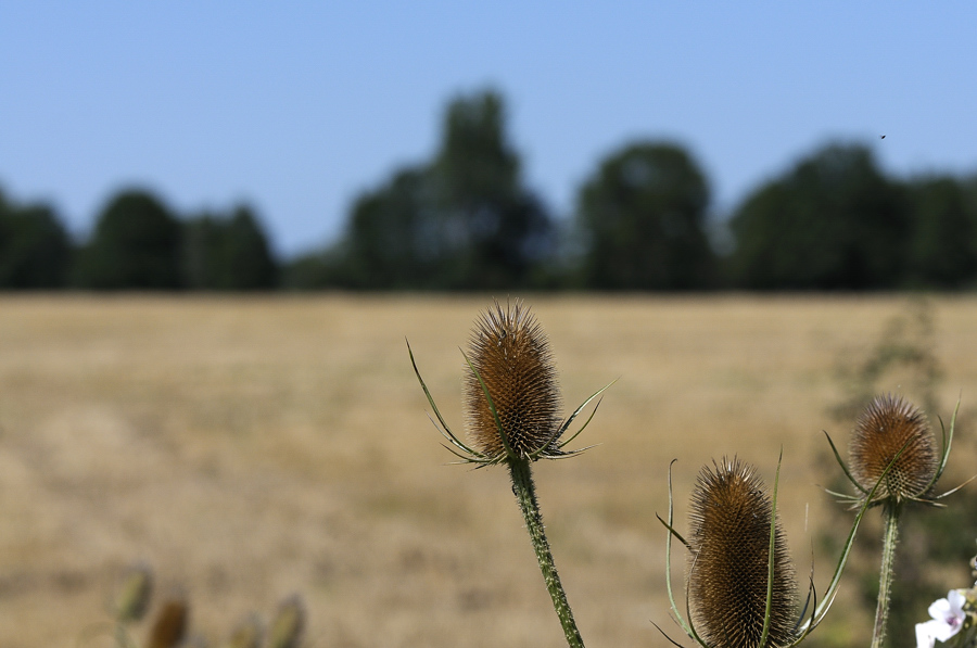 NFF_Test_Upload