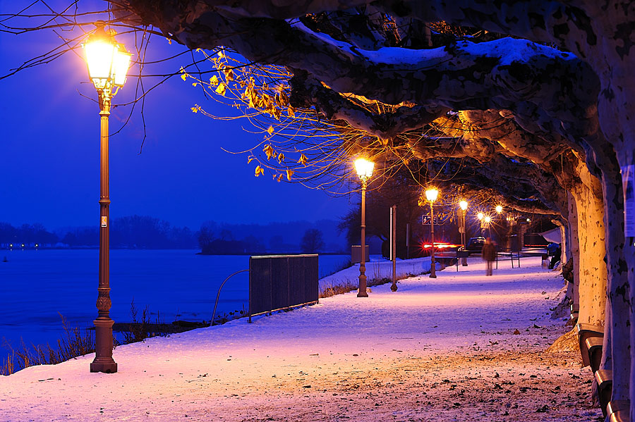 nffblau2