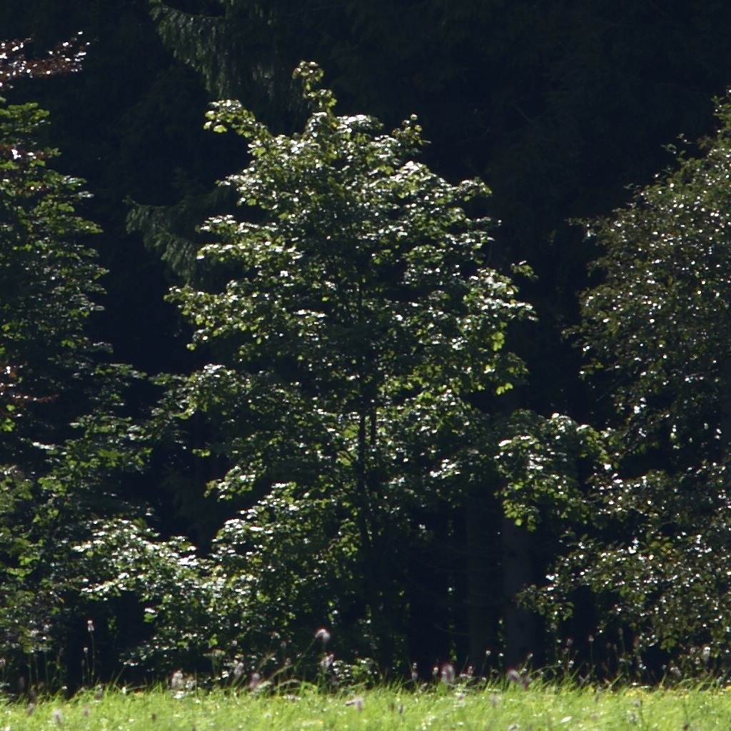 NFFcomp Nikon 135E 57 Crop