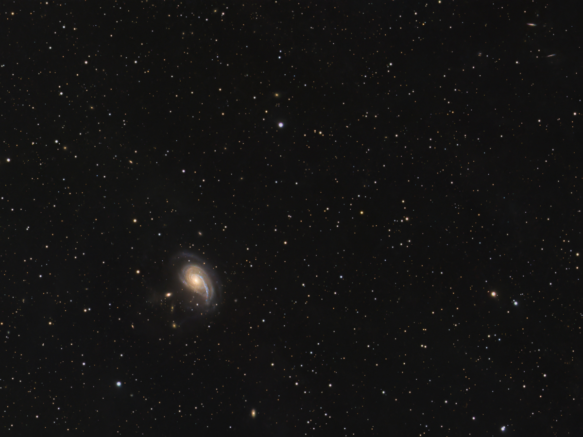 NGC772_web.jpg