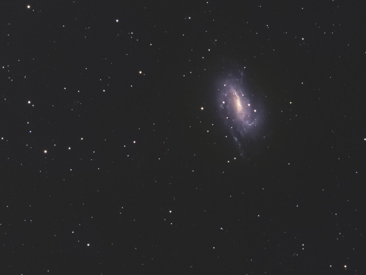 NGC925_detail_web.jpg