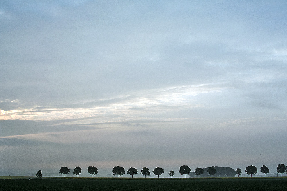 Niederrhein DSC 0851