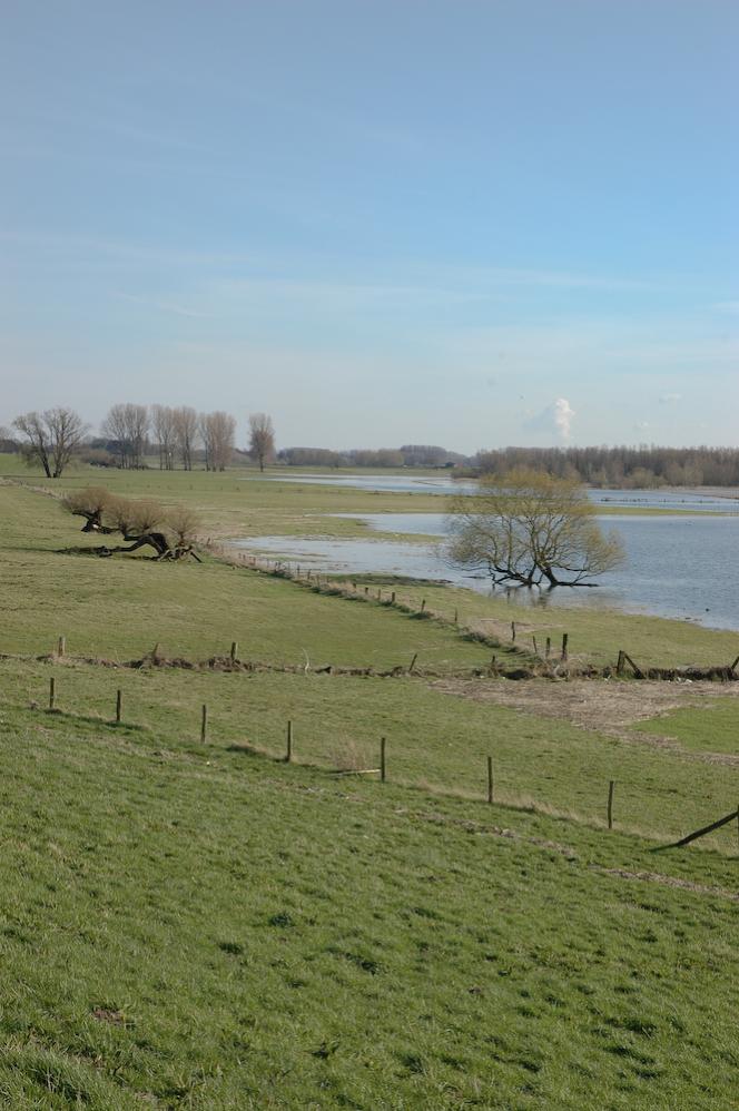 Niederrhein, gegenüber von Xanten