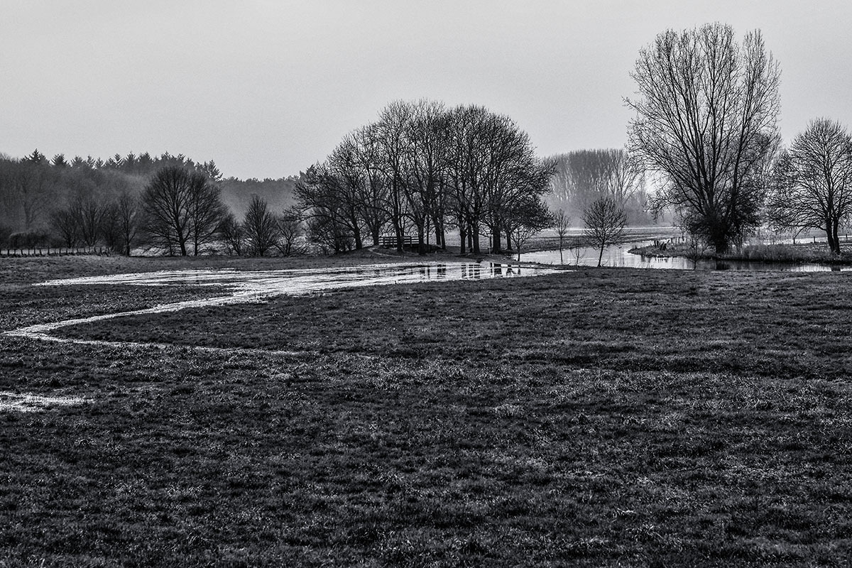 Niers Wiesen 2