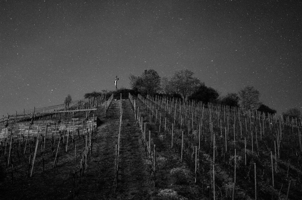 Nightshot Scheuerberg Nightshot BW DSC 1195