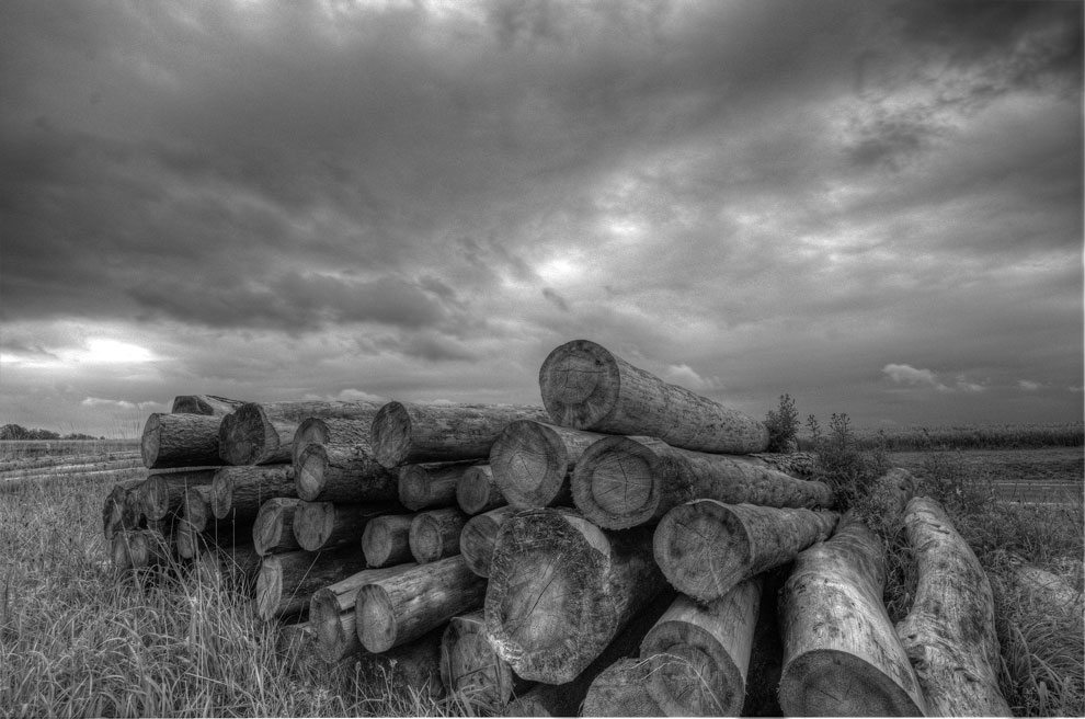 NIK 0615 6 7 tonemapped sw ps www
