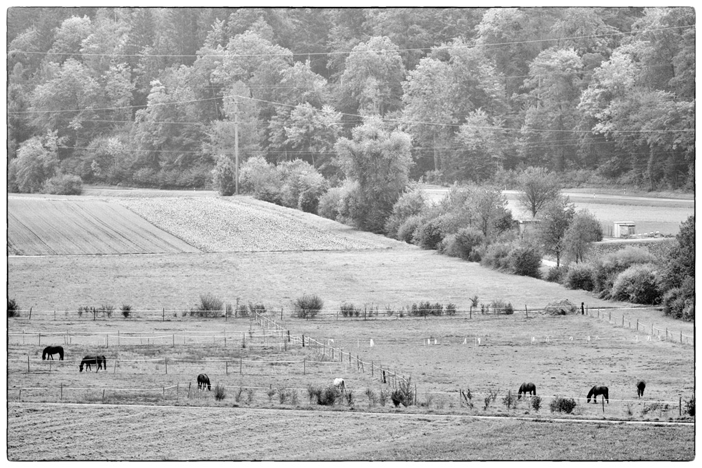 Nikkor PZ14453