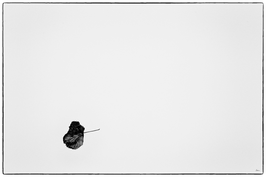 Nikkor PZ14455