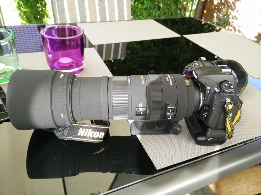 Nikon D300 mit MB D-10 und Sigma 150-500mm DG OS HSM