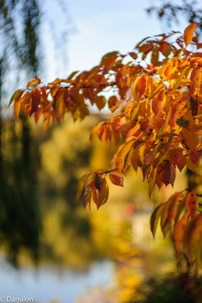 NIKON D700   0.0 mm f 0.0   161101 153138