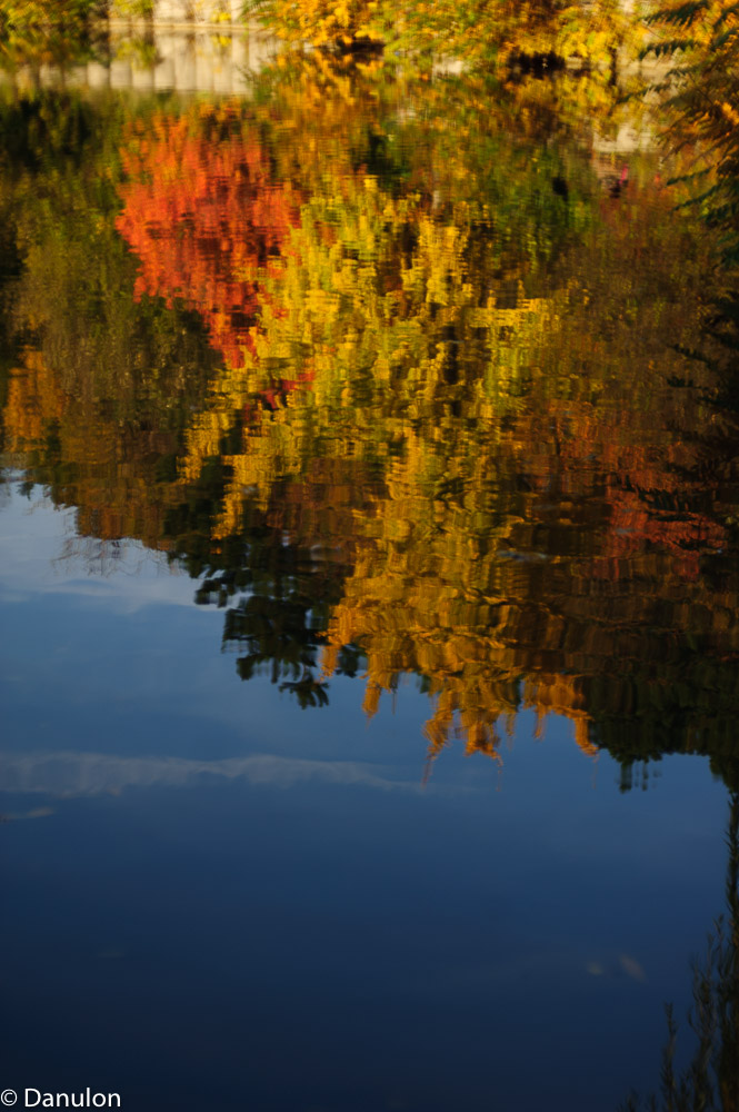 NIKON D700   0.0 mm f 0.0   161101 153309