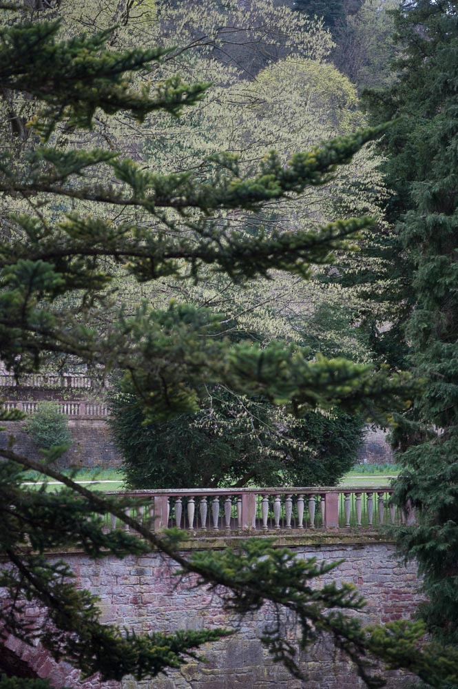 NIKON D700   90.0 mm f 3.5   140321 174916