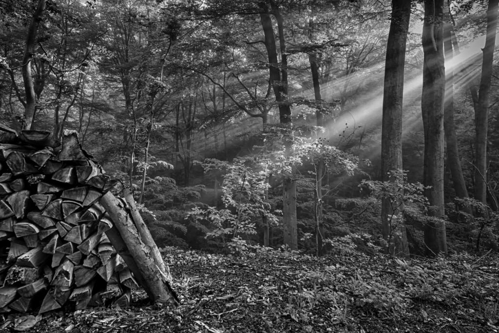 Nikon D800, Nikkor 16-35